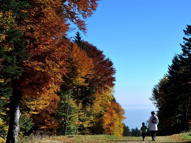 https://wp.kainoto.com/wp-content/uploads/2026/07/dsc_7021.jpg